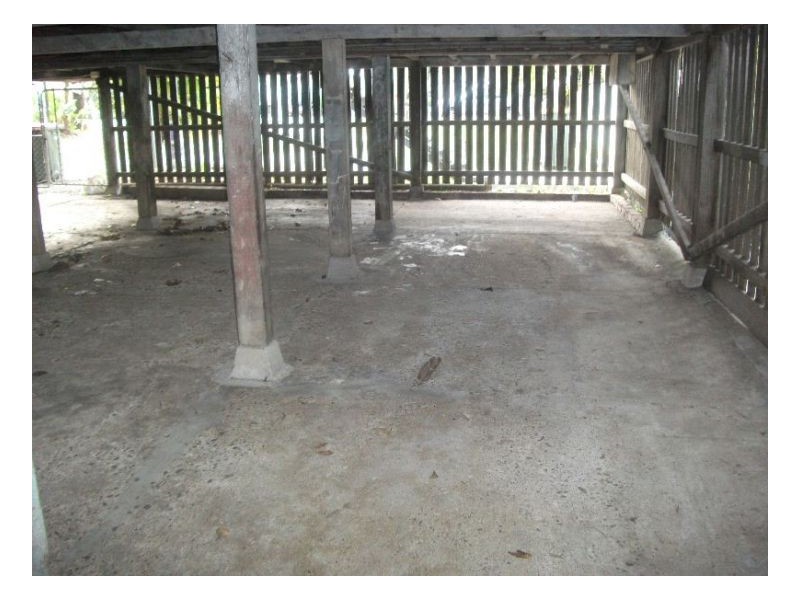 47 Tumbulgum Road, Murwillumbah NSW 2484