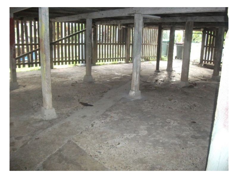 47 Tumbulgum Road, Murwillumbah NSW 2484