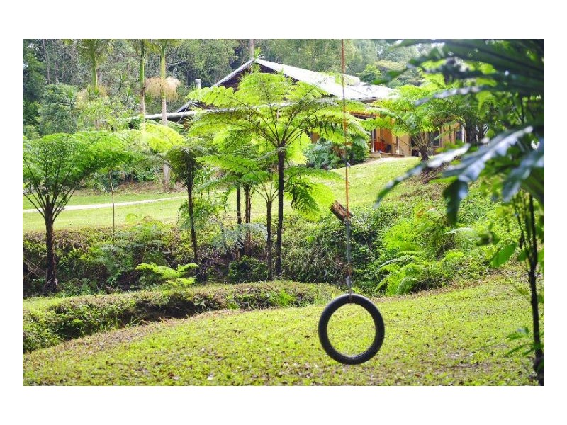 Murwillumbah NSW 2484