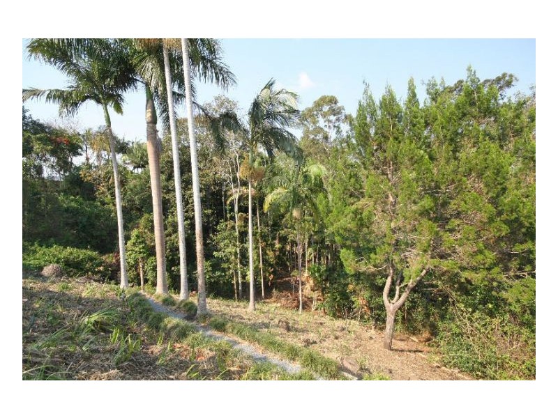 Murwillumbah NSW 2484