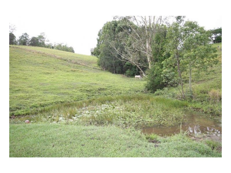 Murwillumbah NSW 2484