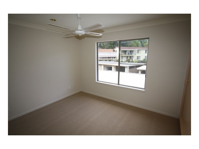 Murwillumbah NSW 2484