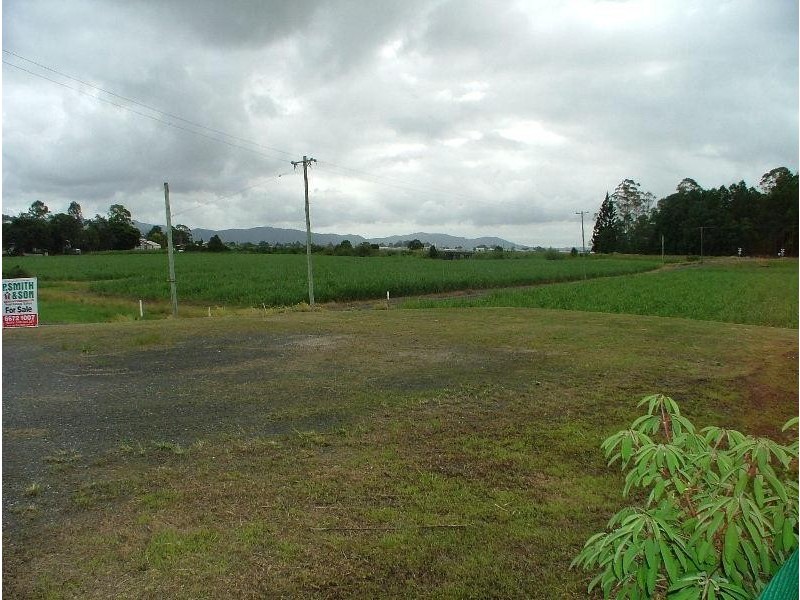 Murwillumbah NSW 2484