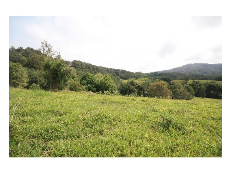 Murwillumbah NSW 2484