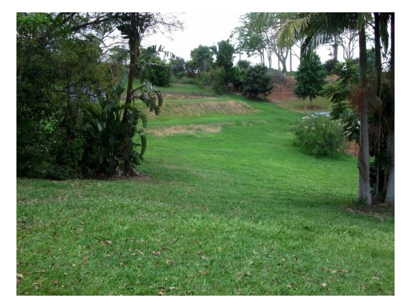 Nobbys Creek NSW 2484