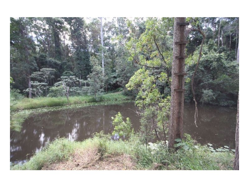 Stokers Siding NSW 2484