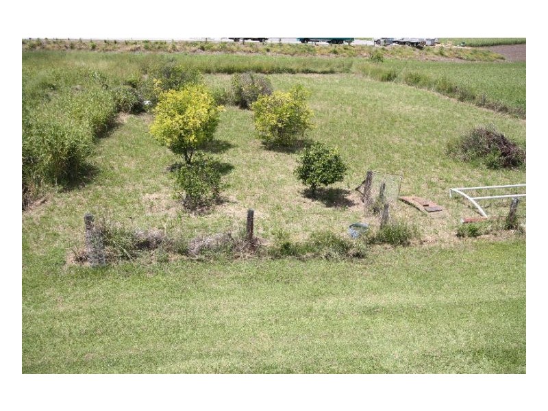 Murwillumbah NSW 2484