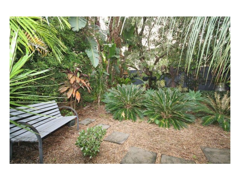 Murwillumbah NSW 2484