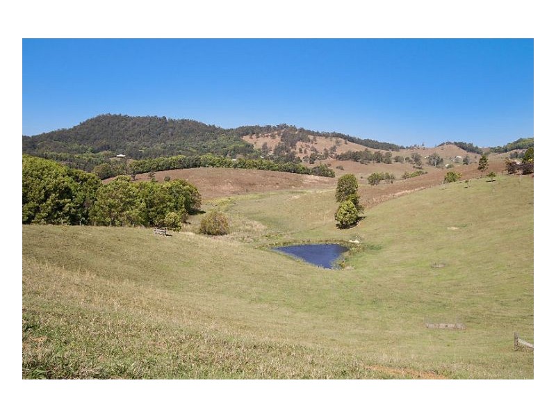 Nobbys Creek NSW 2484