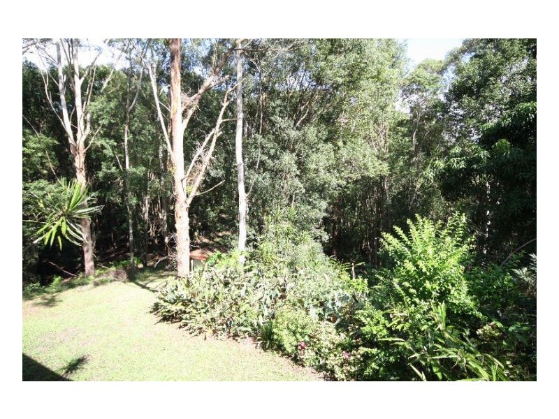 Murwillumbah NSW 2484