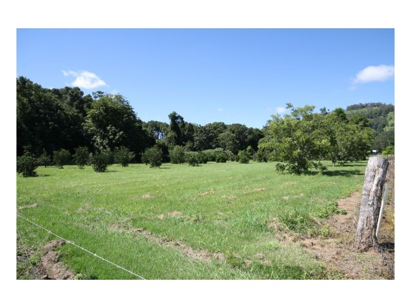 Crystal Creek NSW 2484