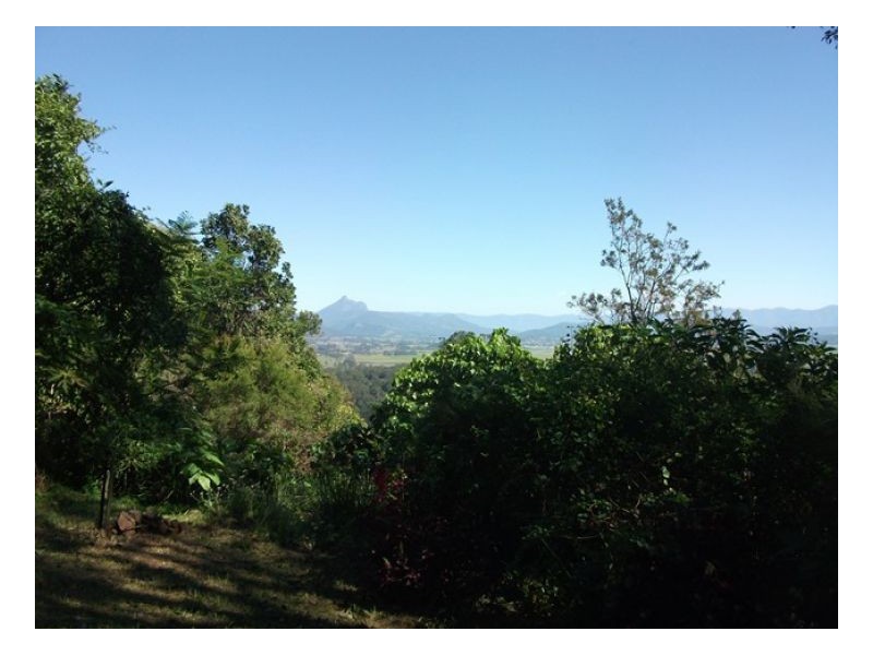 Farrants Hill NSW 2484