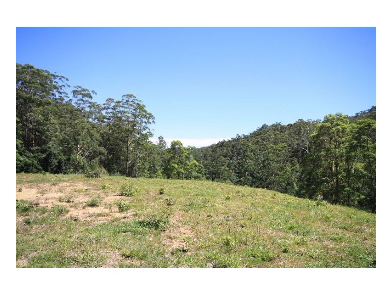 Stokers Siding NSW 2484