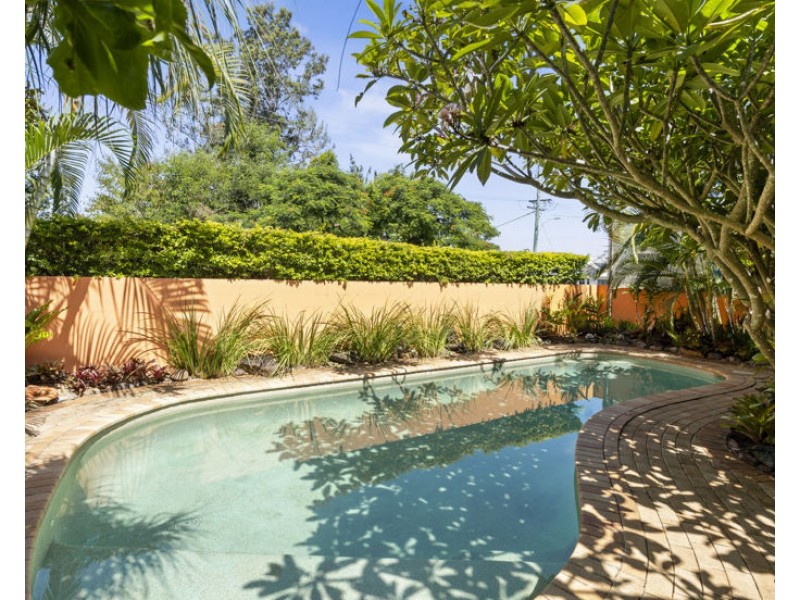25 Riverview St, Murwillumbah NSW 2484