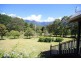 Tyalgum NSW 2484