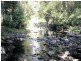 Tyalgum NSW 2484