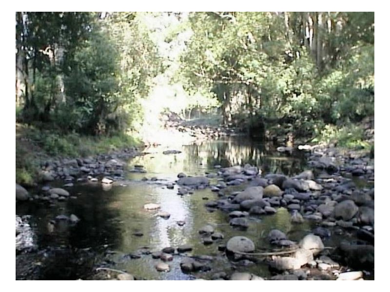 Tyalgum NSW 2484