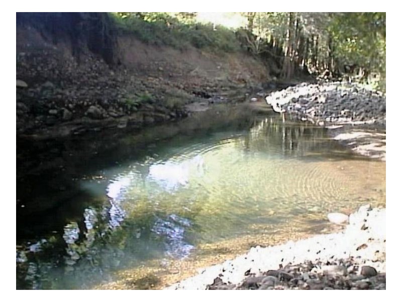 Tyalgum NSW 2484