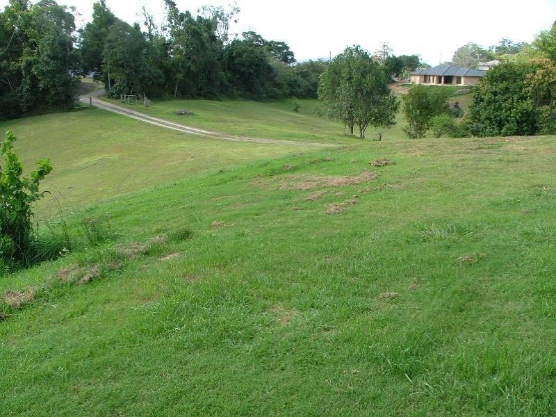 Murwillumbah NSW 2484