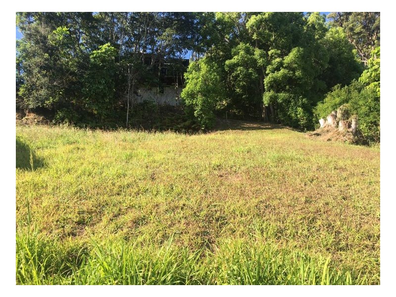 Murwillumbah NSW 2484