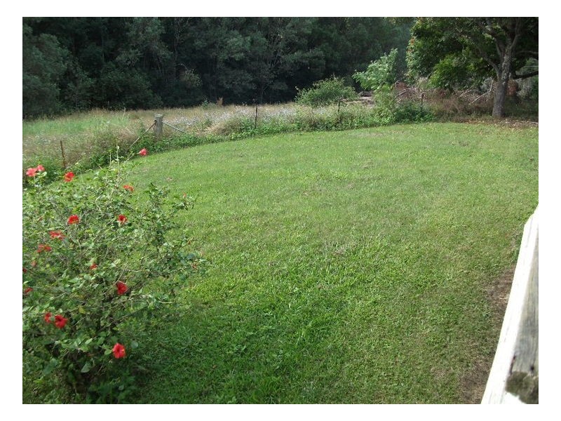 Crystal Creek NSW 2484