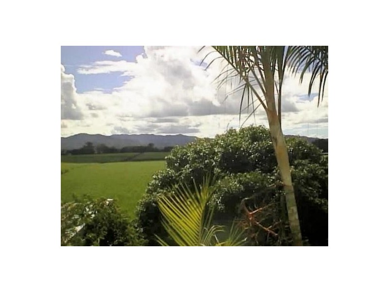 Murwillumbah NSW 2484