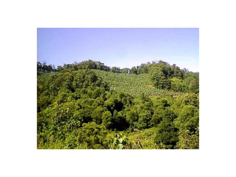 Crystal Creek NSW 2484