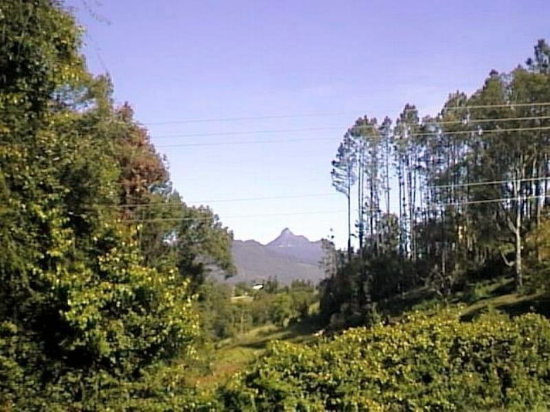 Murwillumbah NSW 2484