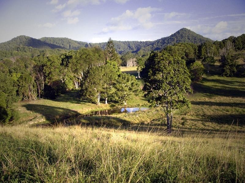 Stokers Siding NSW 2484