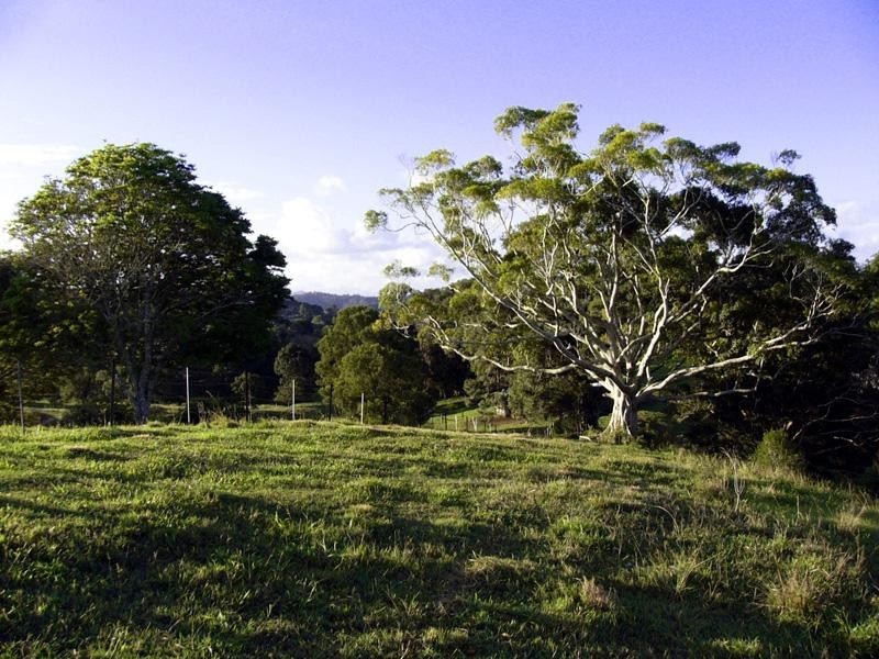 Stokers Siding NSW 2484