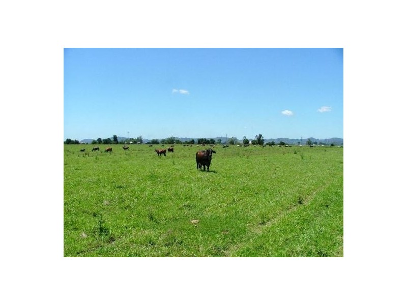 Murwillumbah NSW 2484