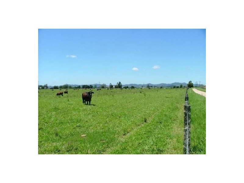 Murwillumbah NSW 2484