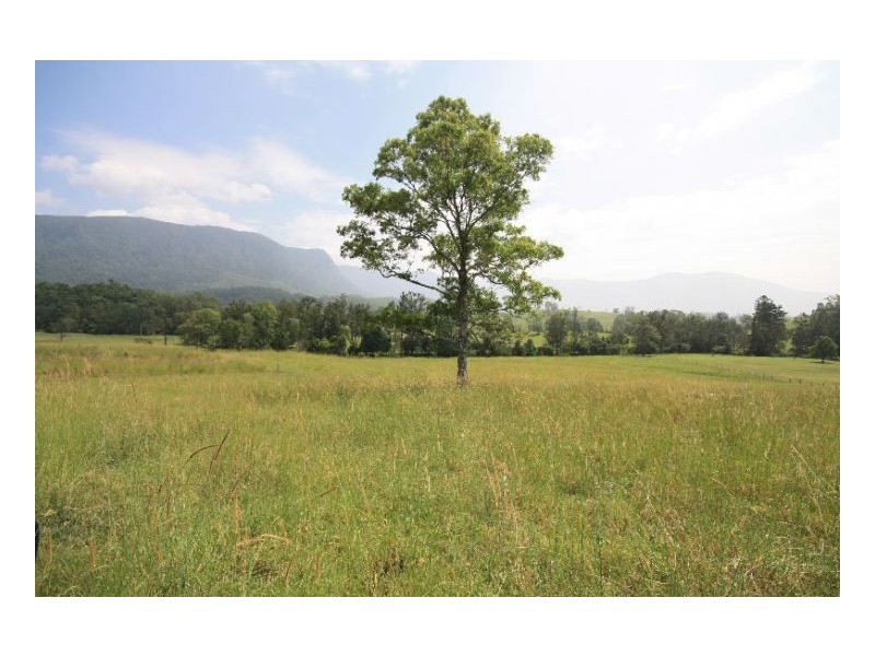 54 Starlight Way, Pumpenbil NSW 2484