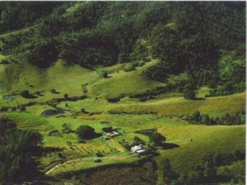 131 Christies Road, Federal QLD 4568