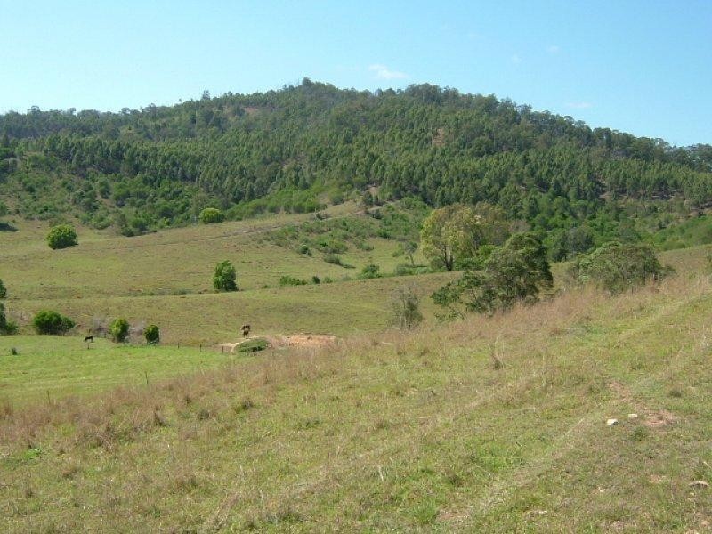 131 Christies Road, Federal QLD 4568