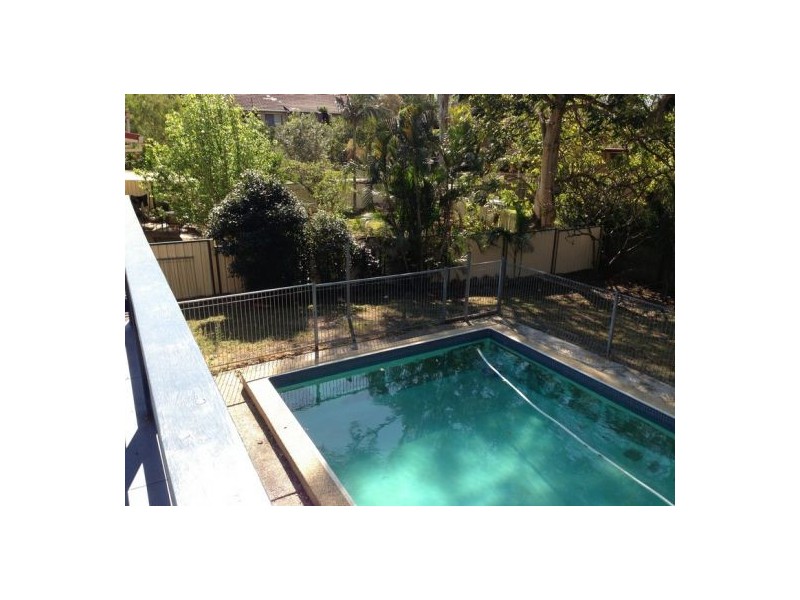 43 Woggle Street, Jamboree Heights QLD 4074