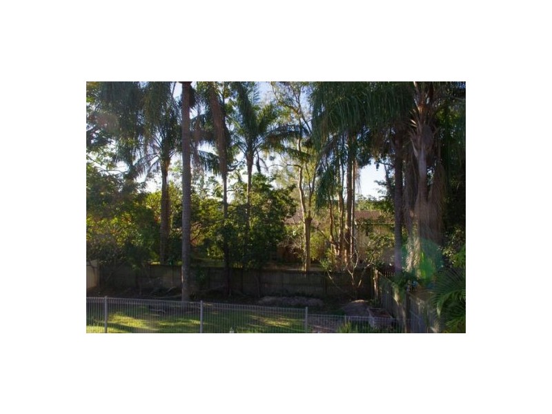 43 Woggle Street, Jamboree Heights QLD 4074