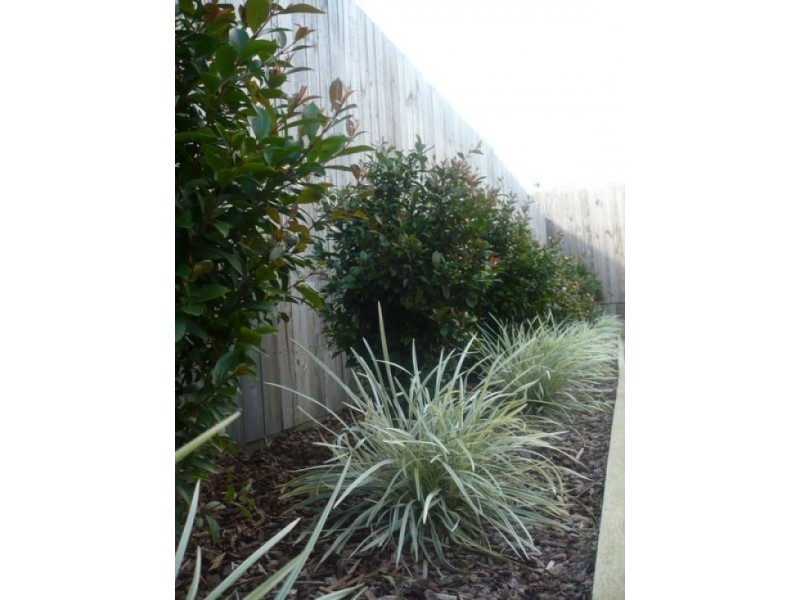 Forest Lake QLD 4078