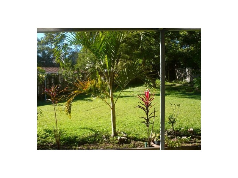 81 Wilson Drive, Camira QLD 4300