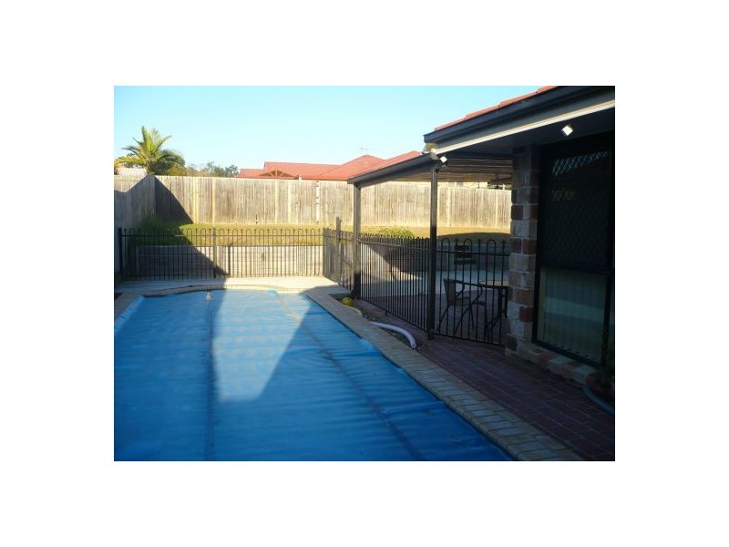 16 Lotus Place, Springfield QLD 4300