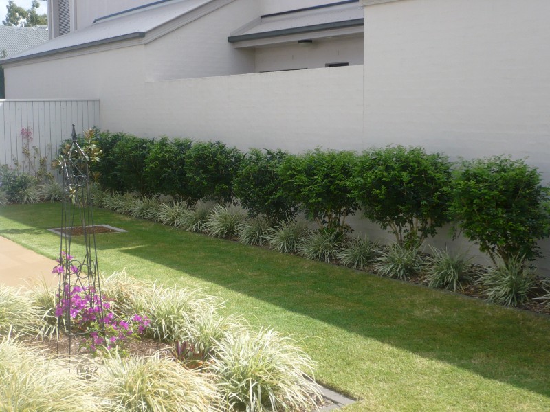 8 Greenway Circuit, Mount Ommaney QLD 4074