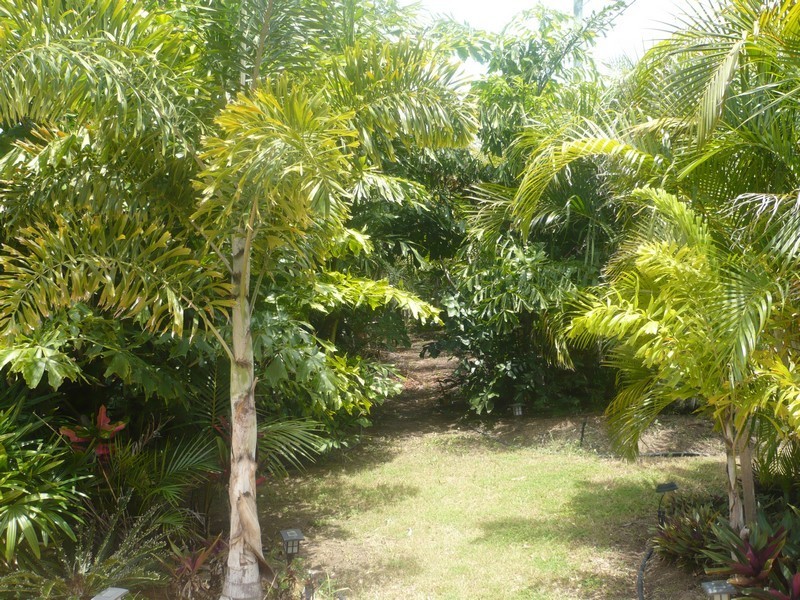 17 Crestwood Drive, Camira QLD 4300