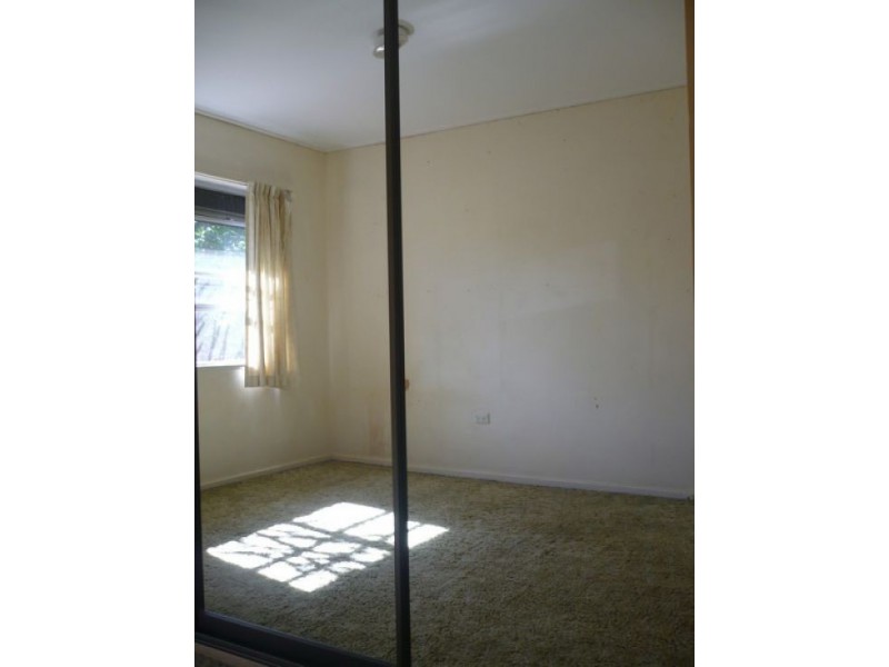 33 Musgrave Road, Indooroopilly QLD 4068