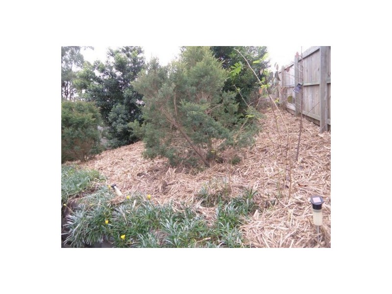 43 Clydesdale Place, Sumner QLD 4074