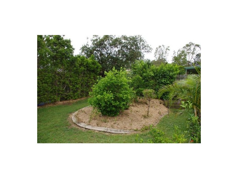 10 Ibis Circuit, Forest Lake QLD 4078