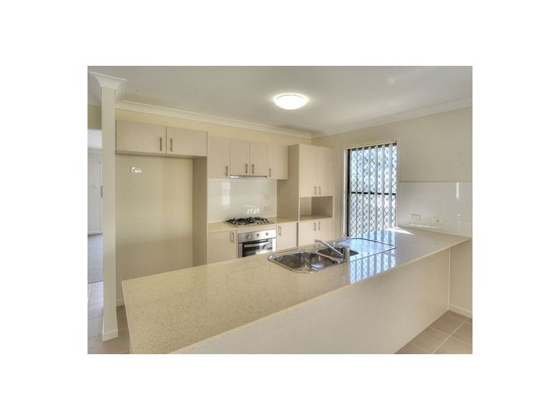 61 Caraway St, Springfield Lakes QLD 4300