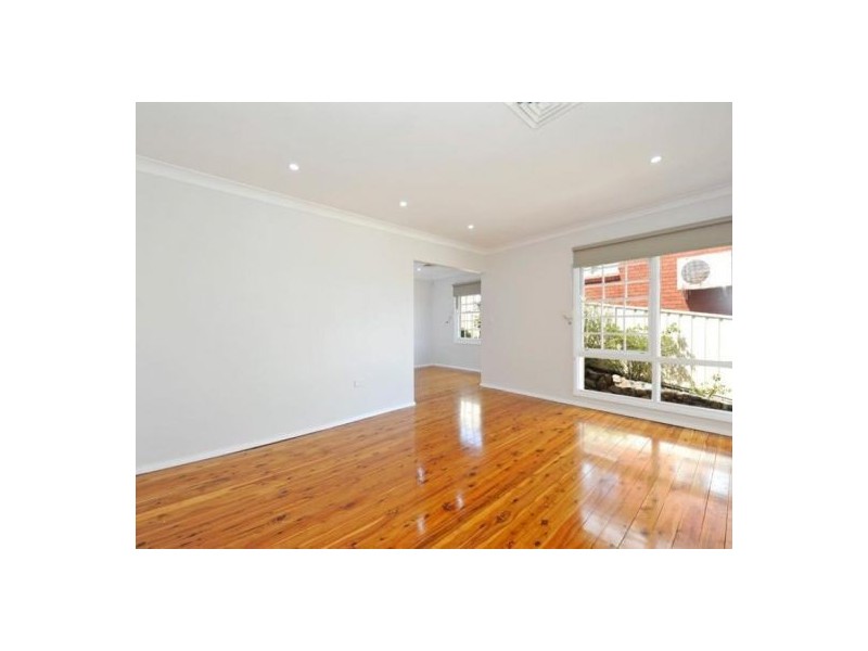 25 Greenwood Avenue, Belmont NSW 2280