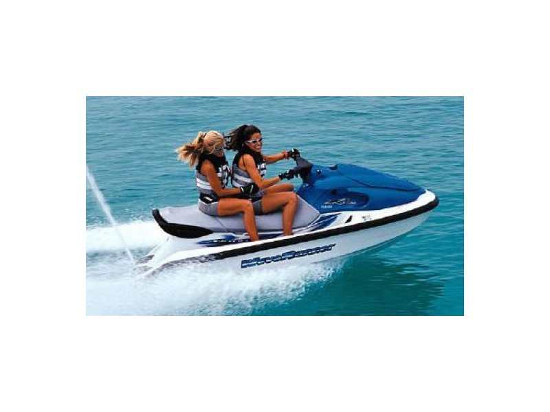 59 Alexander Street, Arcadia Vale NSW 2283