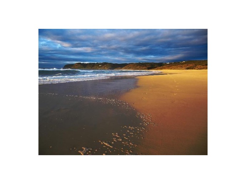 1 Norley Street, Whitebridge NSW 2290