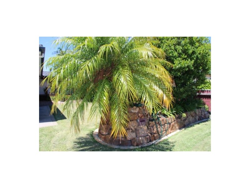 24 Turea Street, Pelican NSW 2281